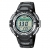 Casio SGW-100-1V 